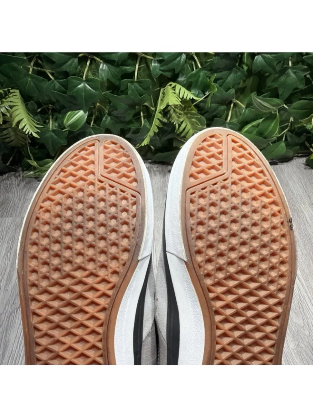 Vans please check